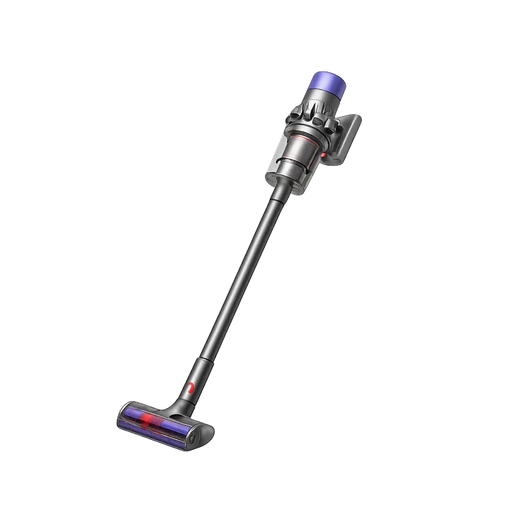 Dyson V11